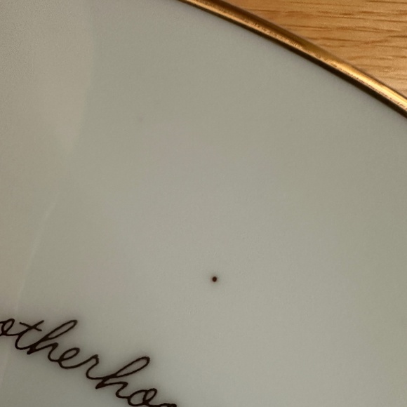 Holly Hobbie 1974 Mothers Day Plate Kind and Good is Motherhood Plate - Picture 8 of 11